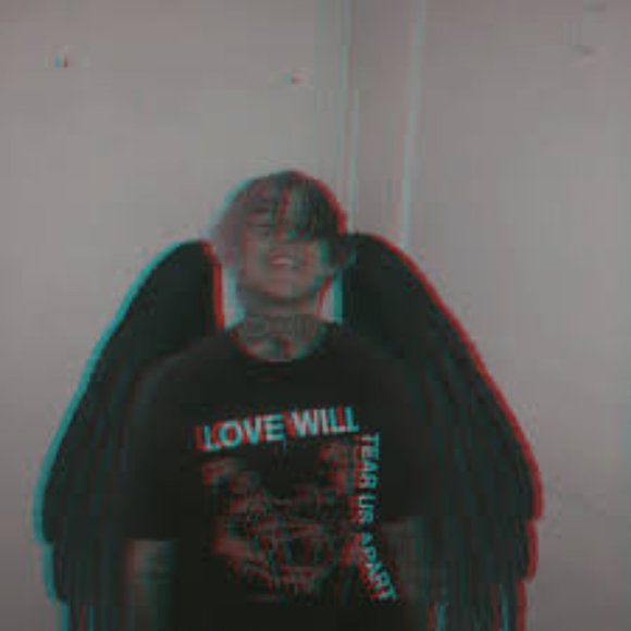 Meet your Posher, Savannah - Picture 1 of 1